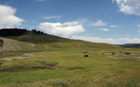 photo of grasslands