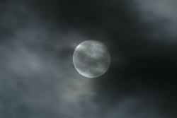 photo of moon