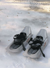 photo of snowshoes